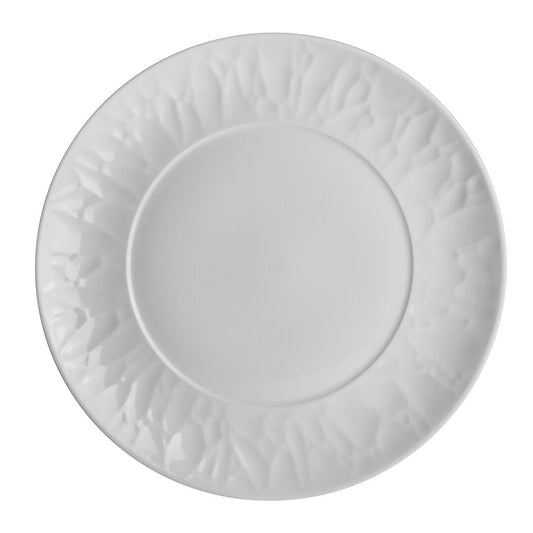 Atelier Plate 27cm (10 5/8")